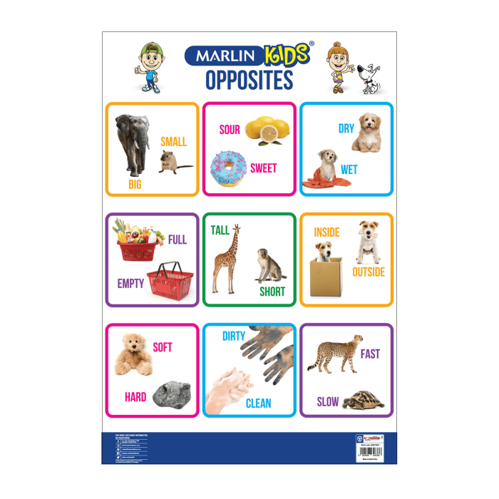 Opposites Poster/Chart